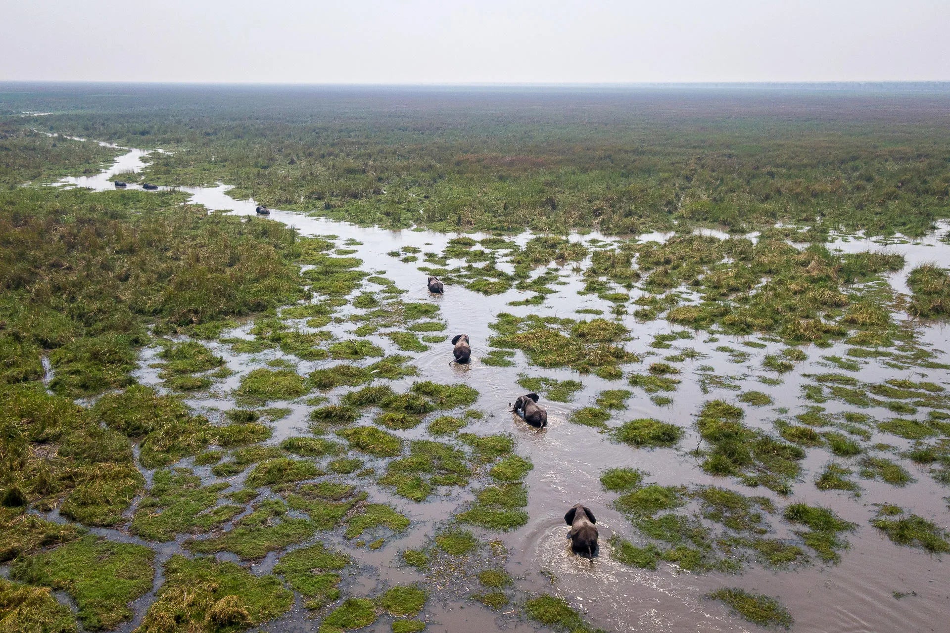 Wilderness Mokete at Wilderness Mokete, Okavango Delta, Botswana.