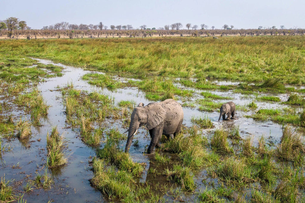 Wilderness Mokete at Wilderness Mokete, Okavango Delta, Botswana.