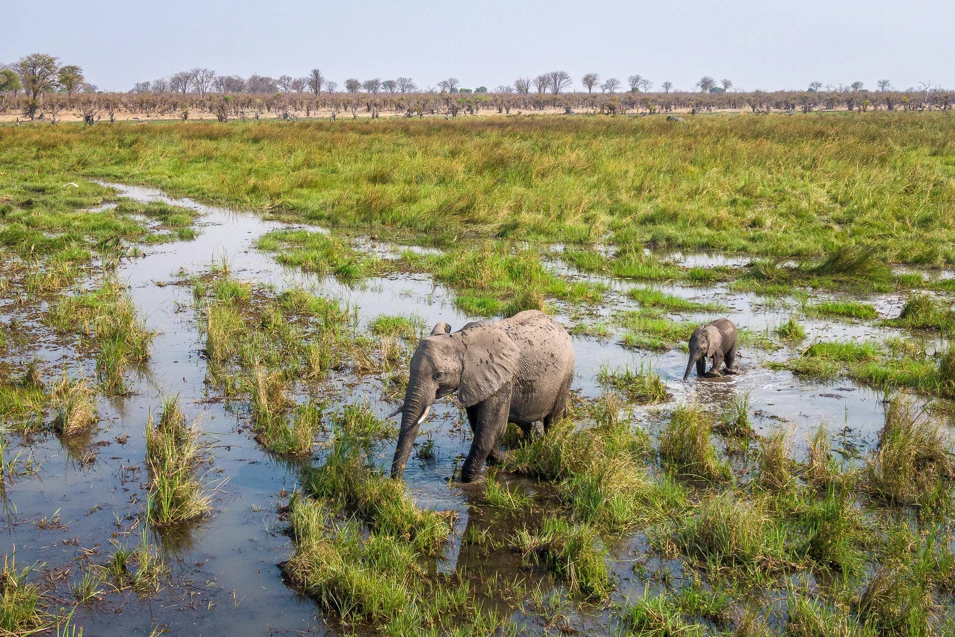 Wilderness Mokete at Wilderness Mokete, Okavango Delta, Botswana.