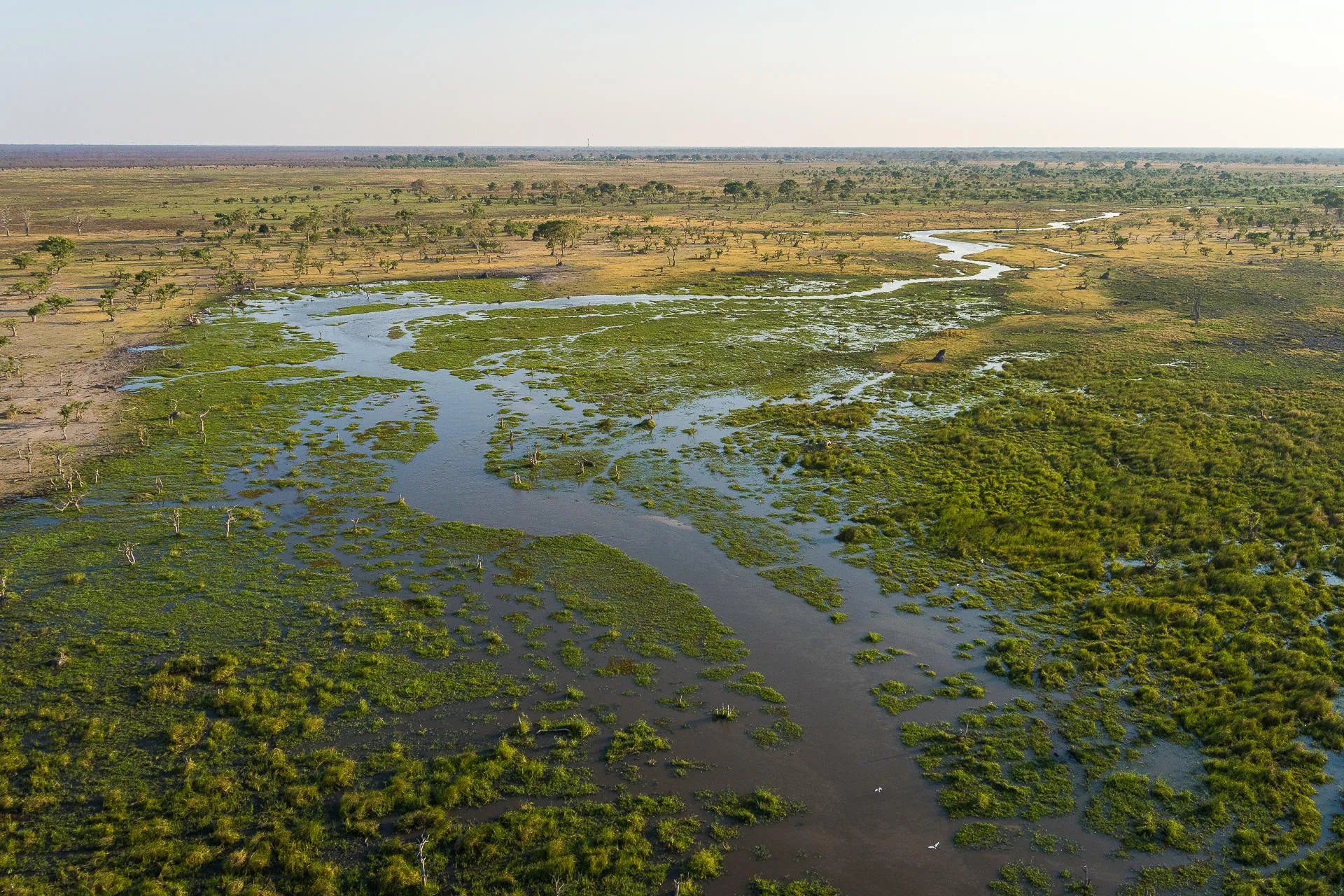 Aerial view of Mababe Marsh at Wilderness Mokete, Okavango Delta, Botswana.