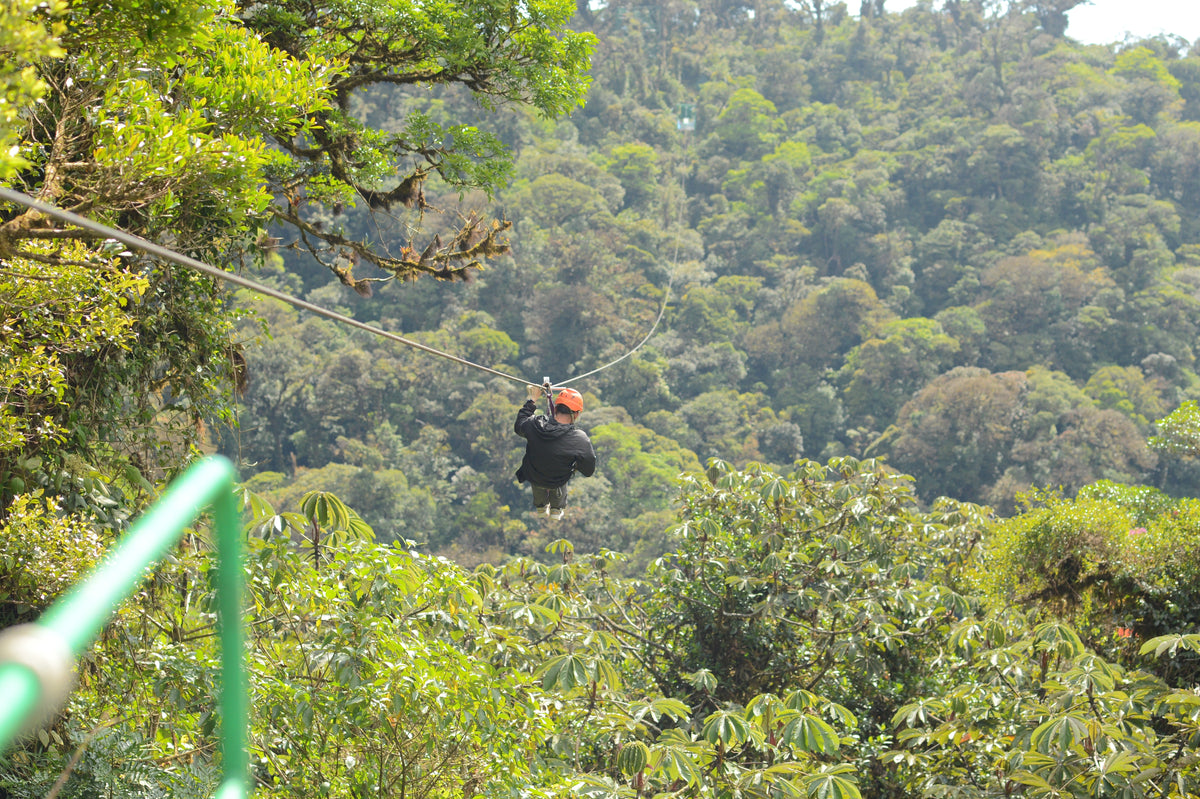 Ocotea Tours & Travel Canopy Tour