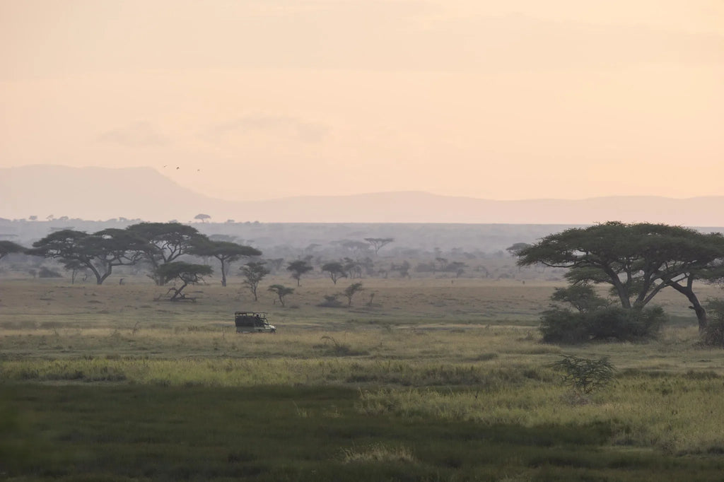 Asilia Africa - Namiri Plains Retreats - Scenic plains at Retreats at Namiri Plains, Eastern Serengeti.