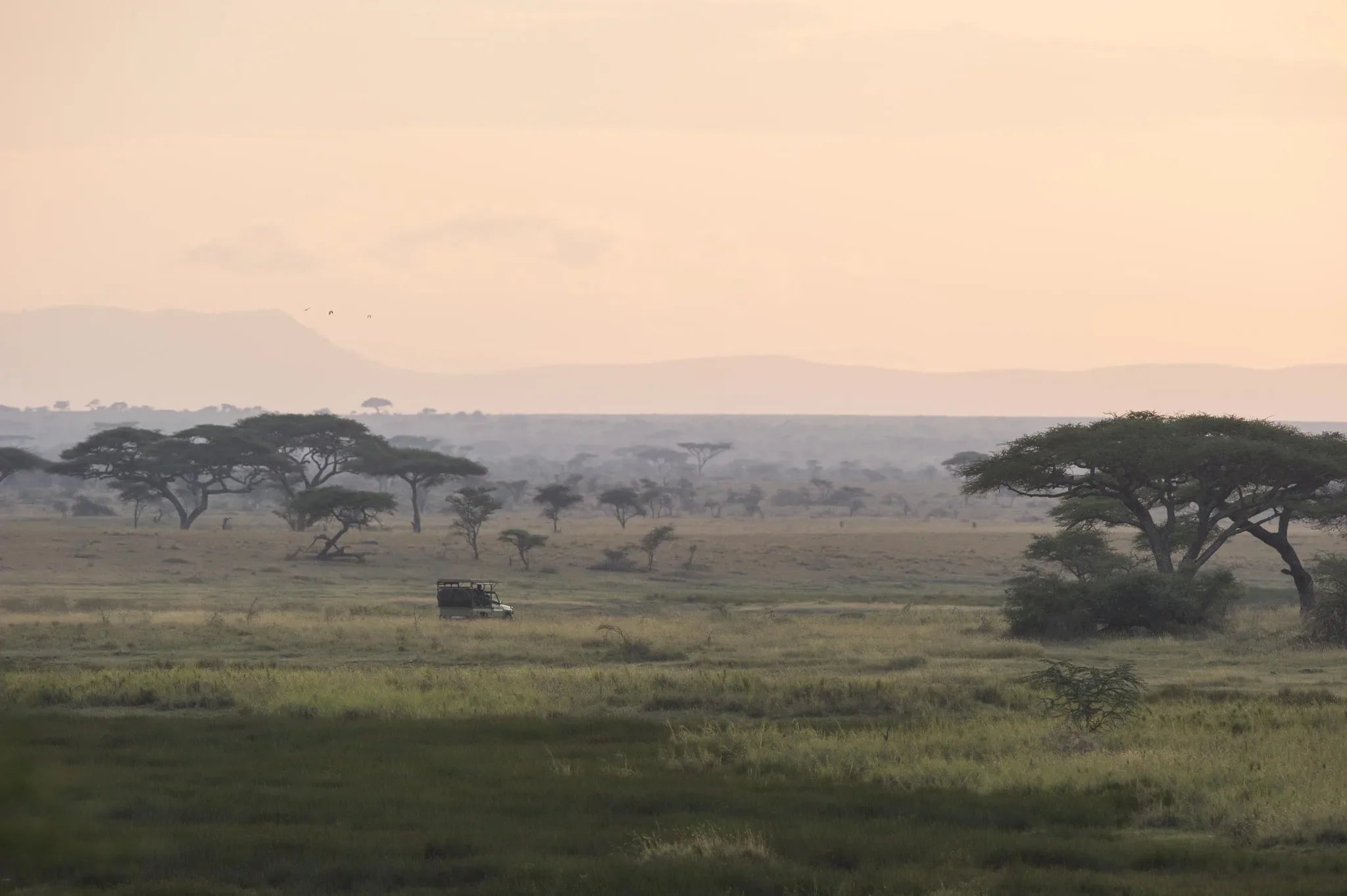 Asilia Africa - Namiri Plains Retreats - Scenic plains at Retreats at Namiri Plains, Eastern Serengeti.