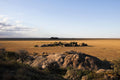 Asilia Africa - Namiri Plains Retreats - Namiri koptjies at Retreats at Namiri Plains, Eastern Serengeti.