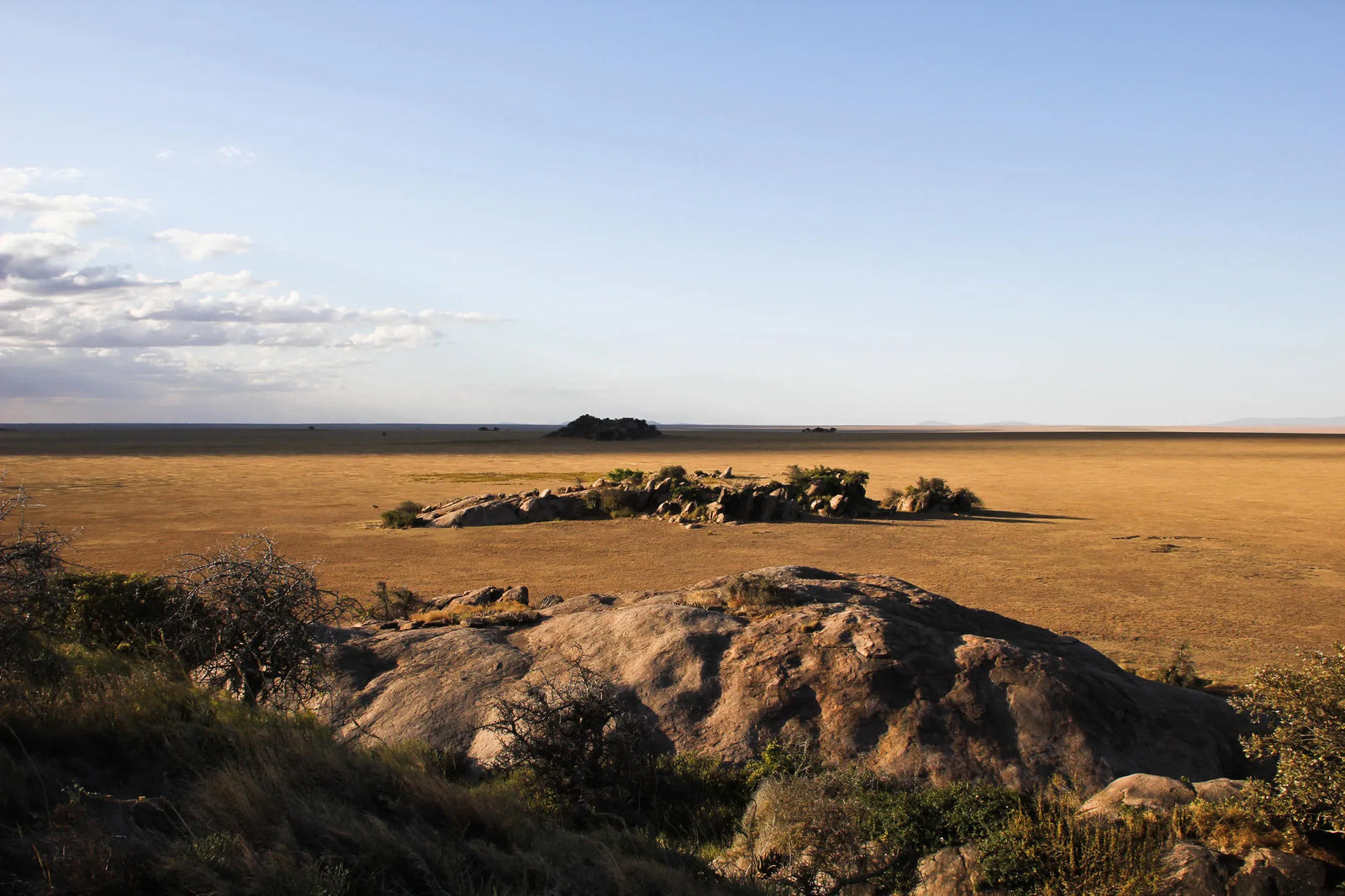 Retreats at Namiri Plains