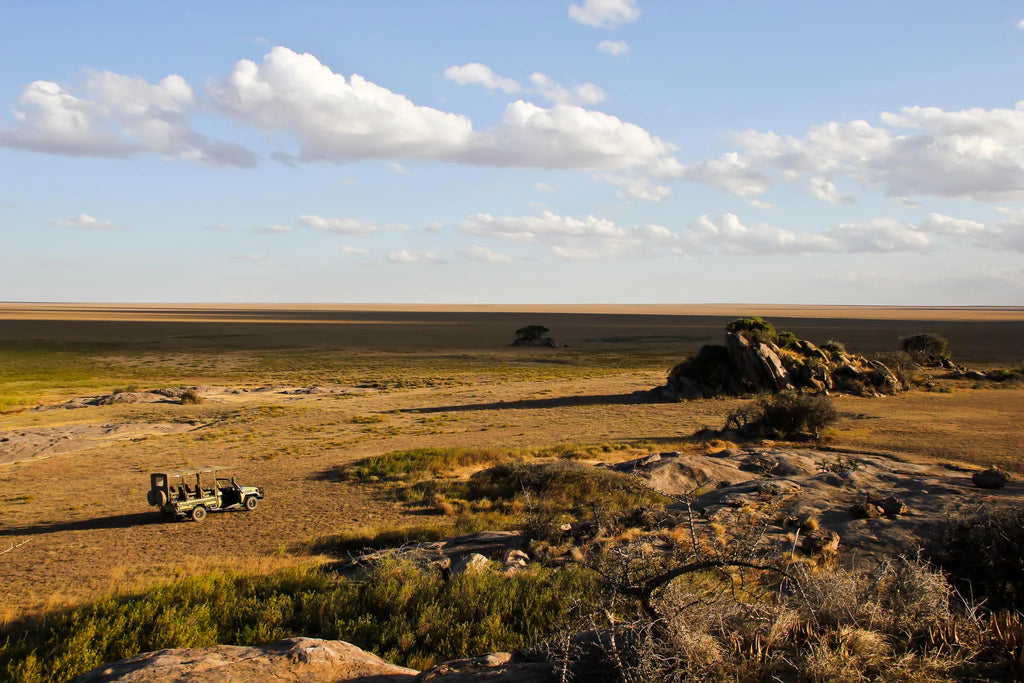 Asilia Africa - Namiri Plains Retreats - Scenic safari game drive at Retreats at Namiri Plains, Eastern Serengeti.