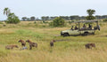 Featured image.