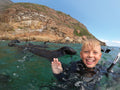 ProDive Plettenberg Bay Scuba Diving Centre