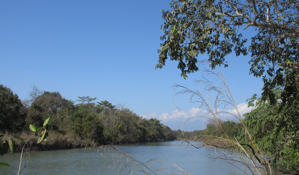 Bardiya National Park
