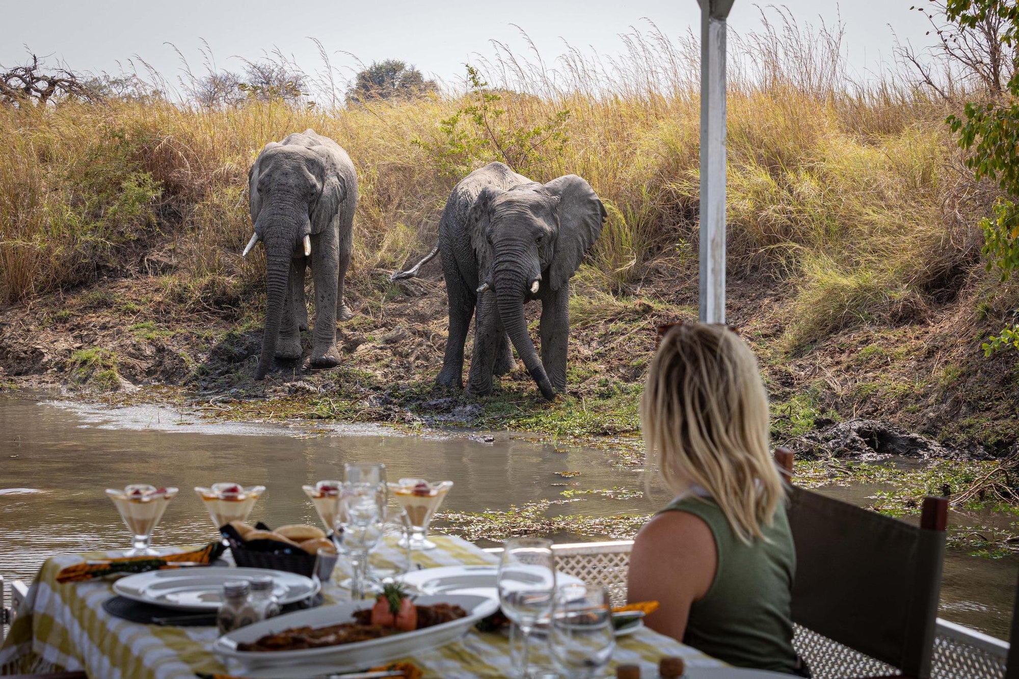 Destination Dining  gallery image 3