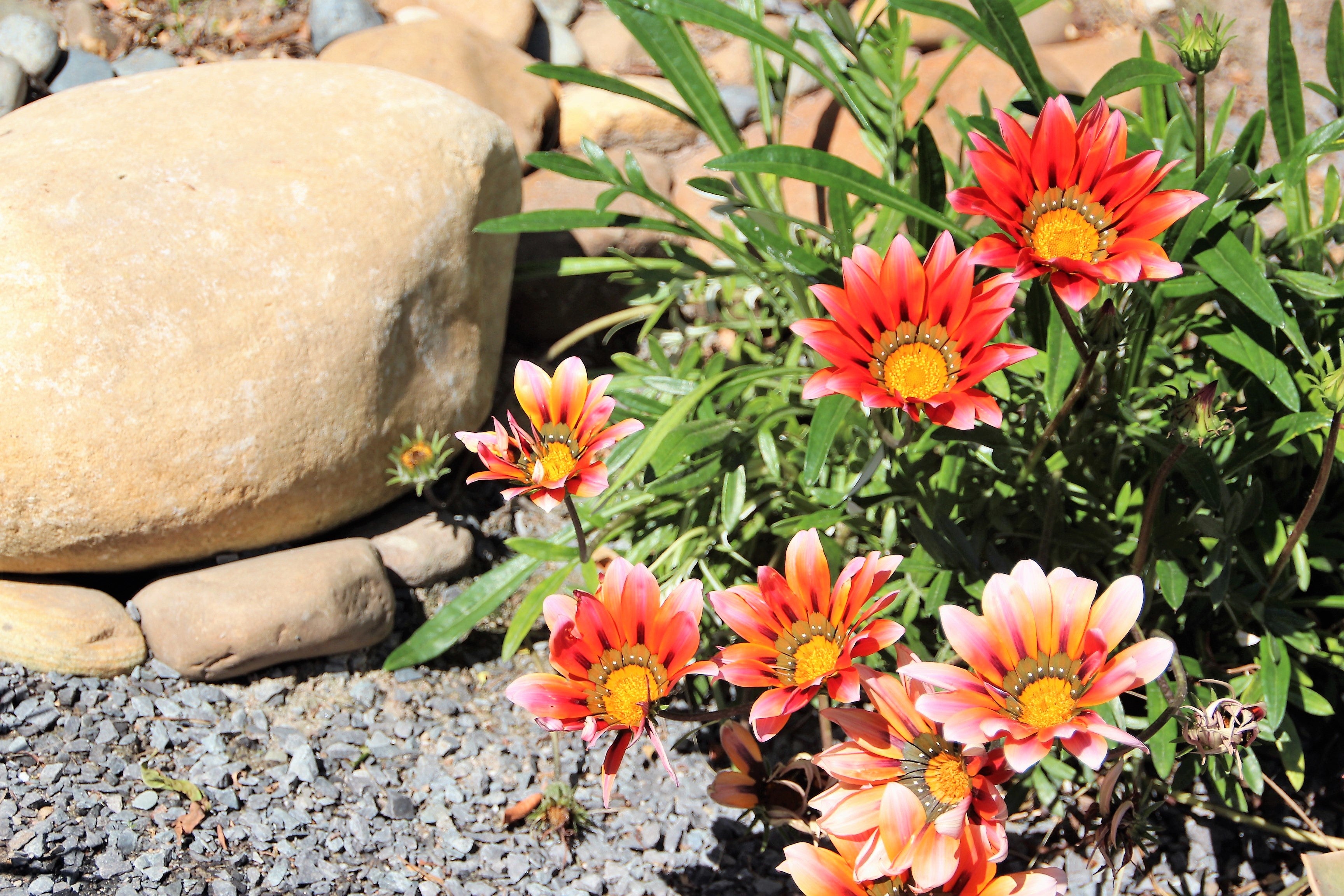 Gardenfeature