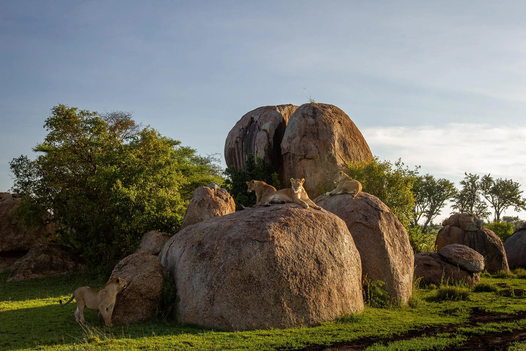 Wilderness Usawa Serengeti at Wilderness Usawa - Serengeti National Park, Serengeti National Park, Tanzania.