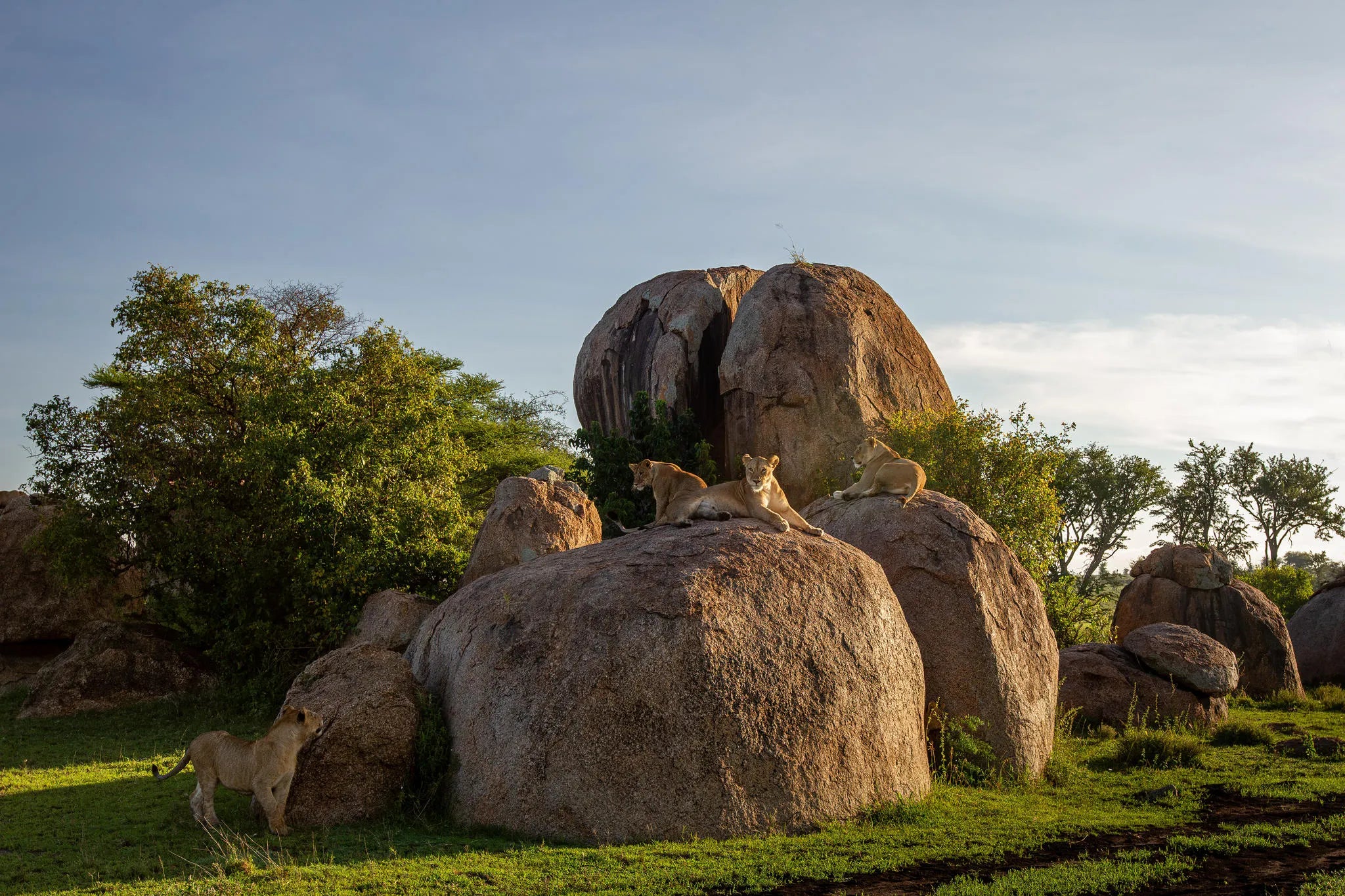Wilderness Usawa Serengeti at Wilderness Usawa - Serengeti National Park, Serengeti National Park, Tanzania.