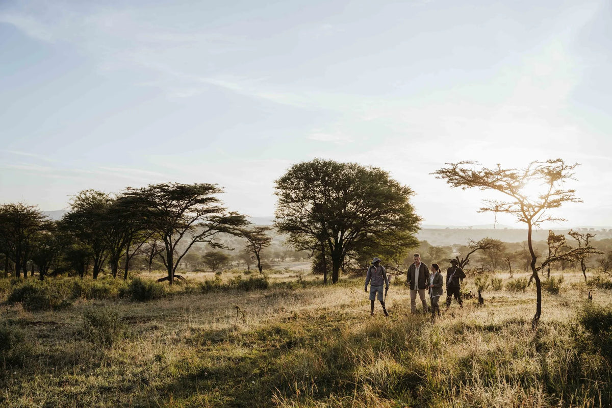 Wilderness Usawa Serengeti – Guided Nature Walks