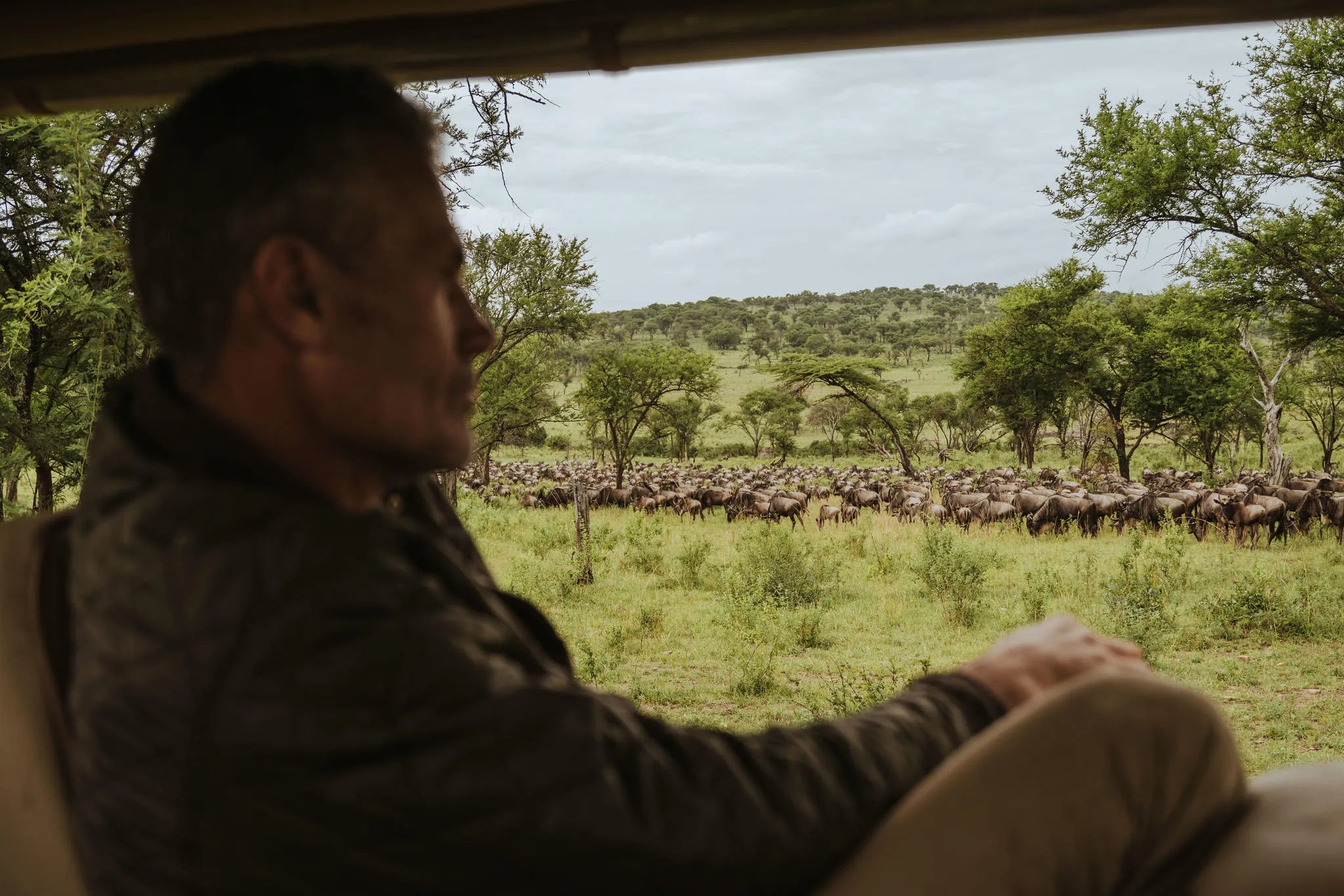Gallery image 3.