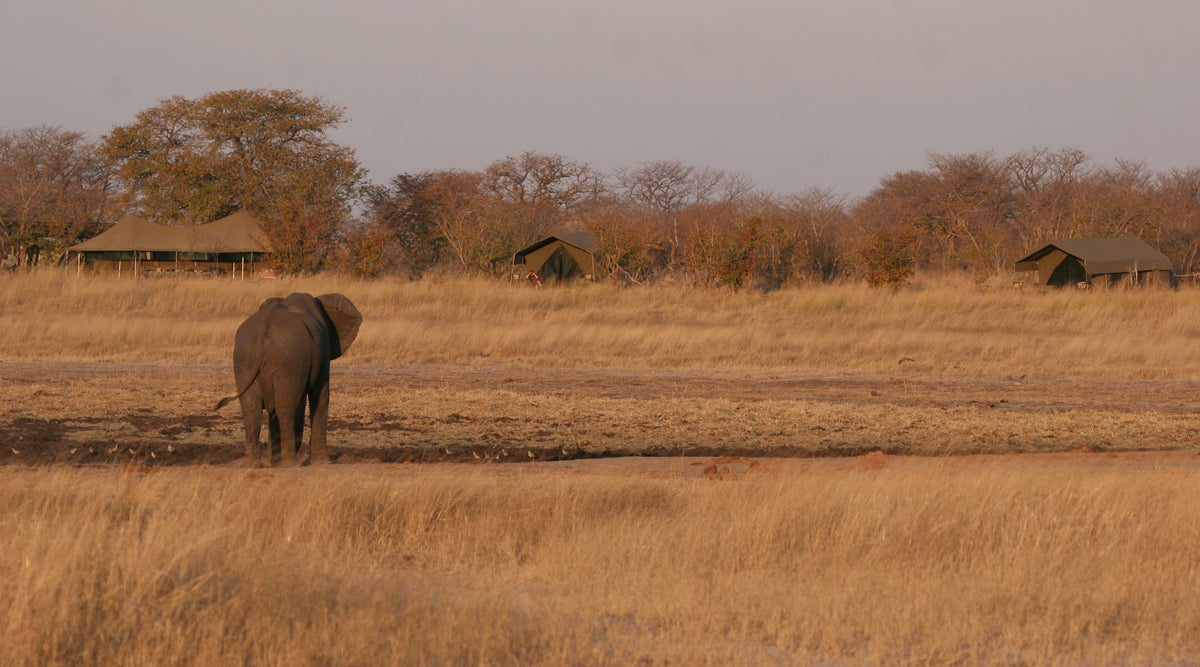 Kazuma Trails	- Chobe