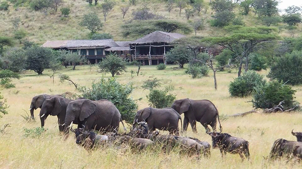 Simbavati Grumeti at Simbavati Grumeti, Grumeti Game Reserve, Tanzania.