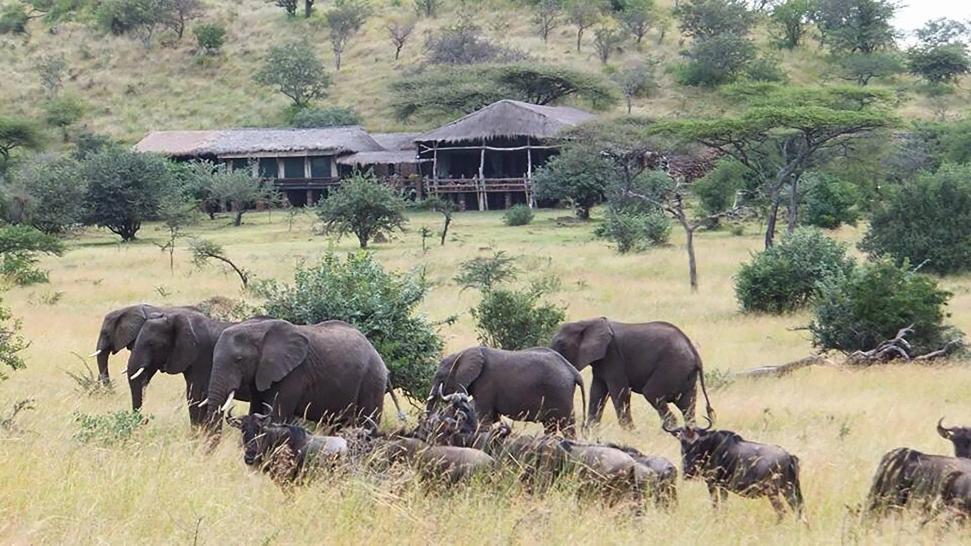 Simbavati Grumeti at Simbavati Grumeti, Grumeti Game Reserve, Tanzania.