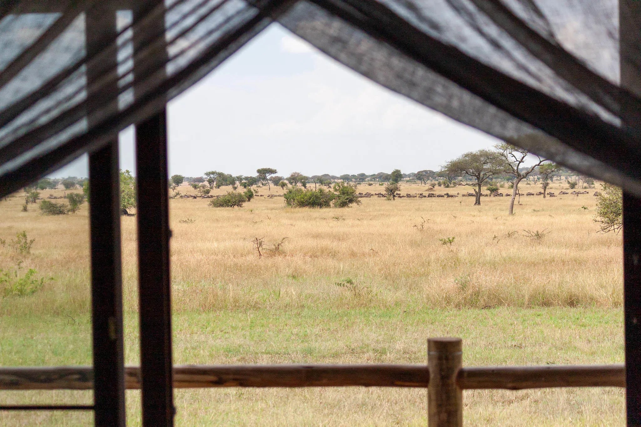 Simbavati Grumeti at Simbavati Grumeti, Grumeti Game Reserve, Tanzania.