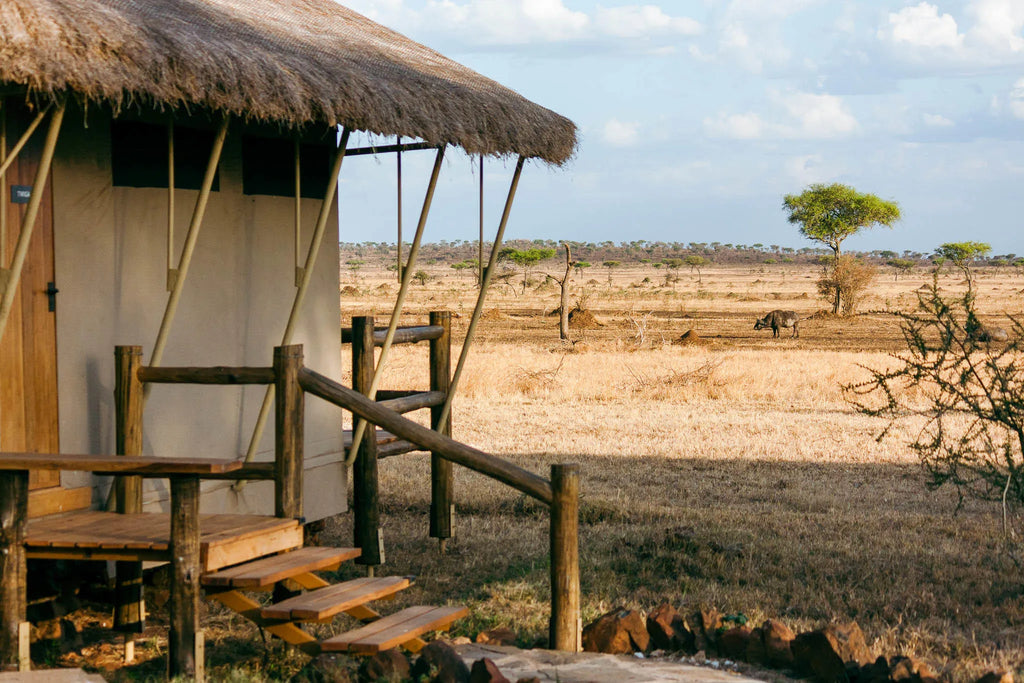 Simbavati Grumeti at Simbavati Grumeti, Grumeti Game Reserve, Tanzania.
