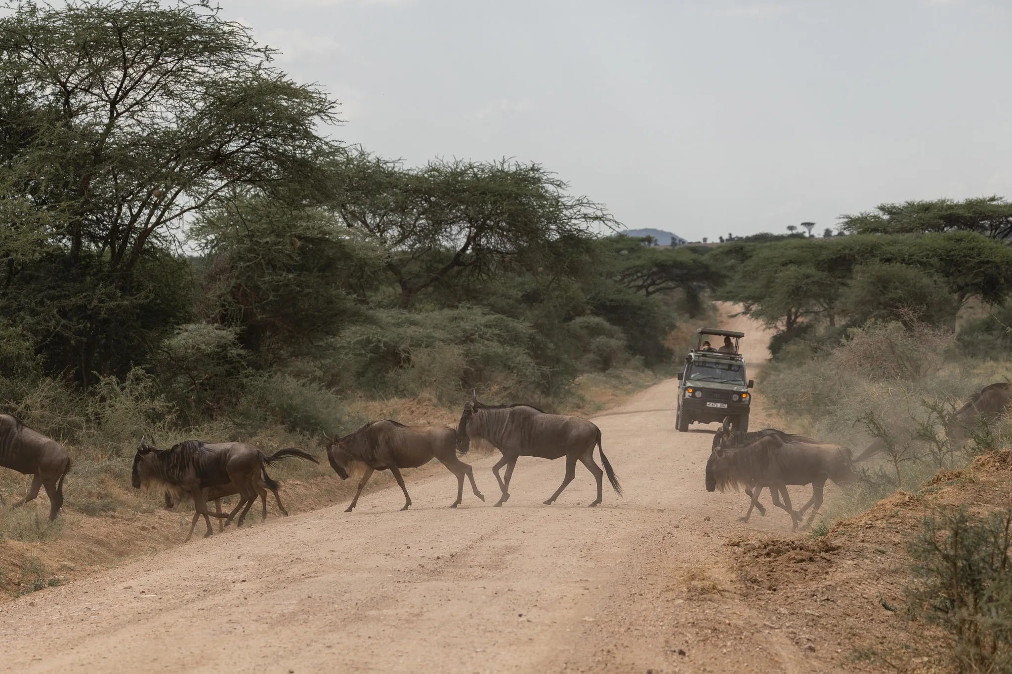 Simbavati Grumeti at Simbavati Grumeti, Grumeti Game Reserve, Tanzania.