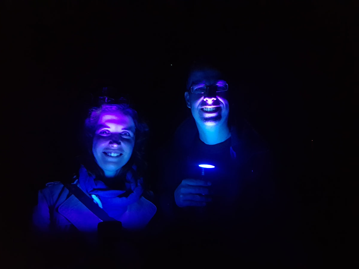 A 2 Zebra Adventures Nature by Night Forest Excursion Teniqua Treetops