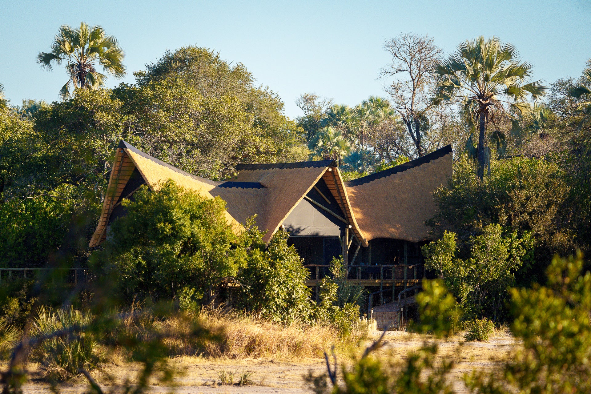 Little Tubu Camp Main Area