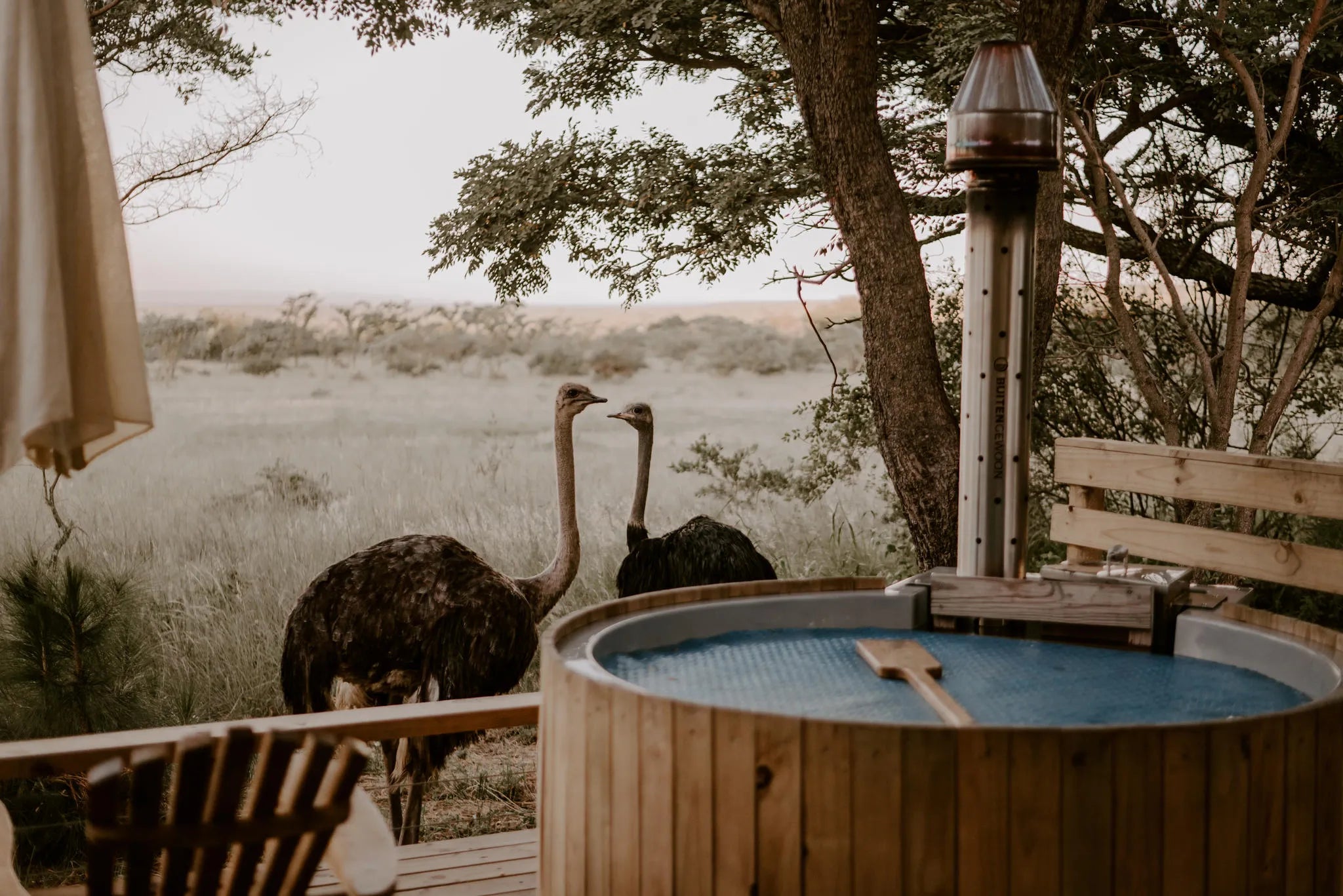 AfriCamps Waterberg, Limpopo at AfriCamps Waterberg, The Waterberg Biosphere, South Africa.