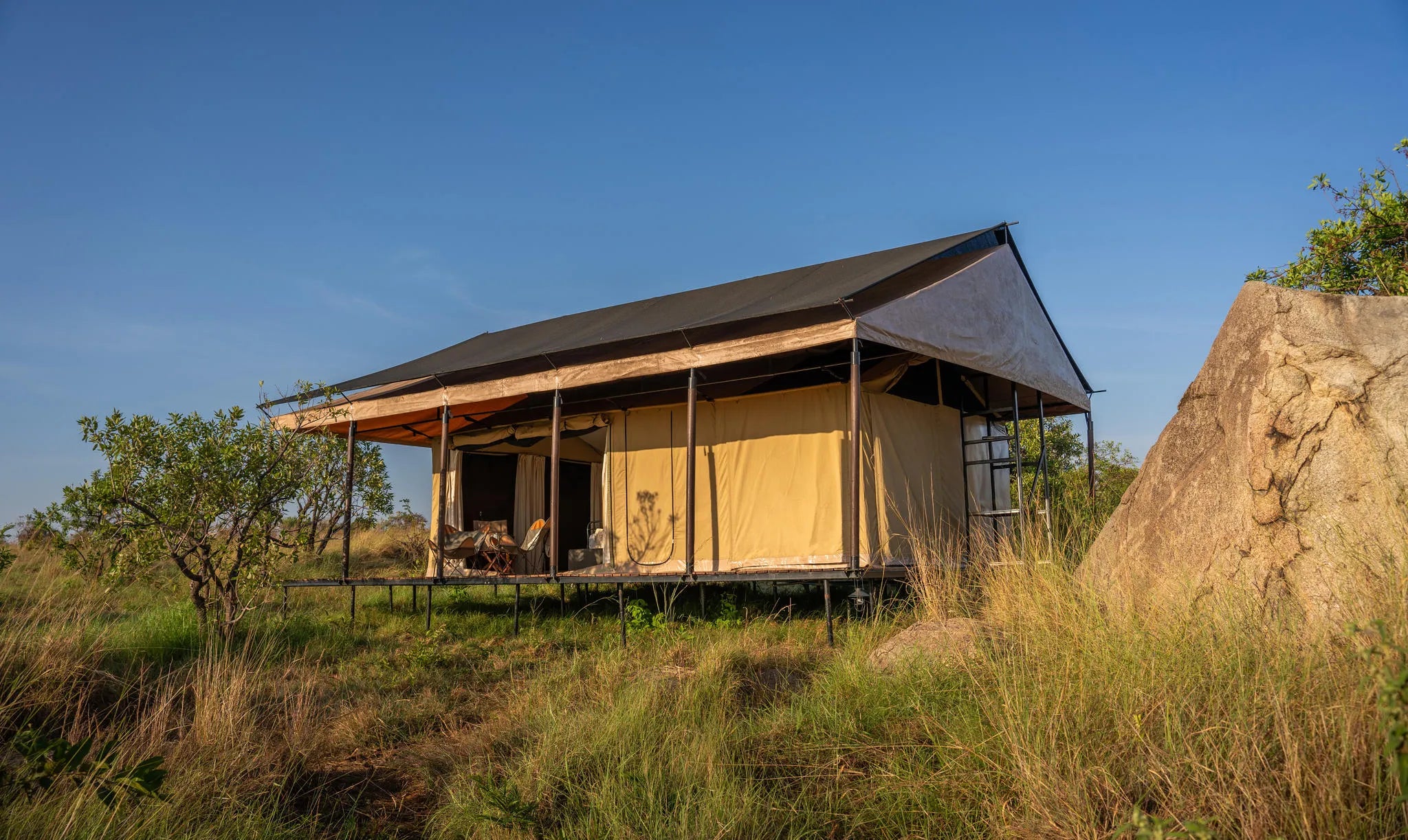 Simbavati Mara at Simbavati Mara, Northern Serengeti, Tanzania.