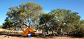 Namib Desert Campsite
