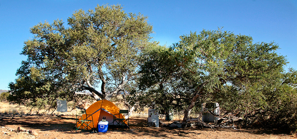 Namib Desert Campsite
