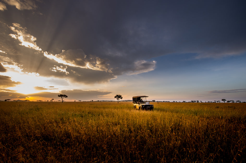 Game drives