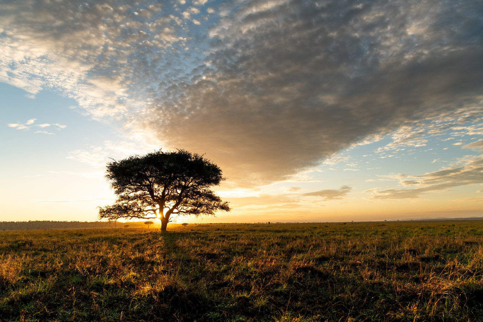 Game drives
