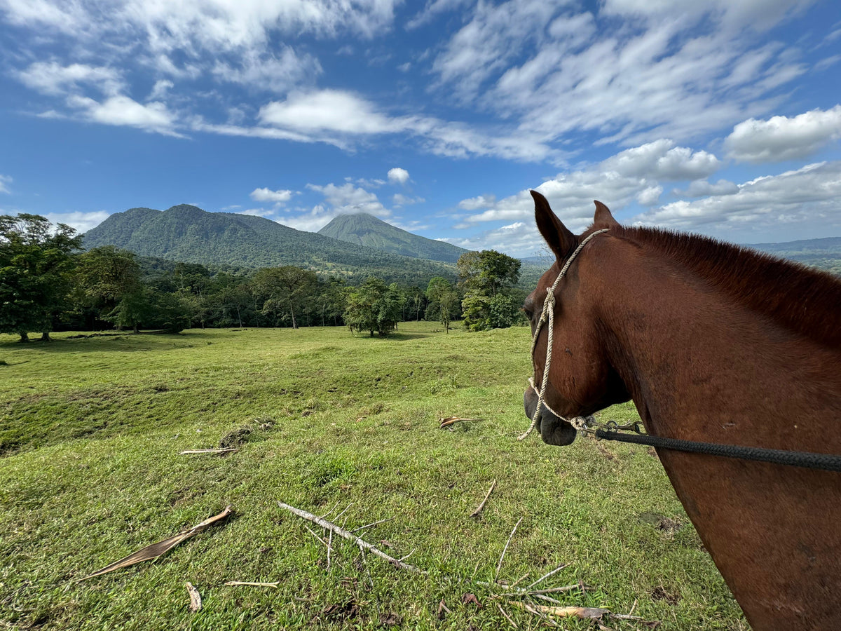 Quercus Travel Horseback Riding in La Fortuna