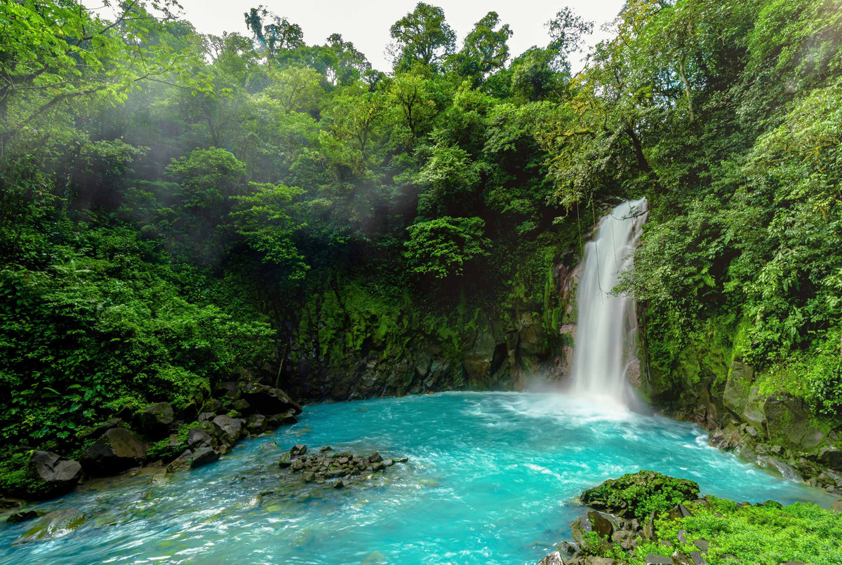 Quercus Travel Rio Celeste Nature Tour with Optional River Tubing Adventure