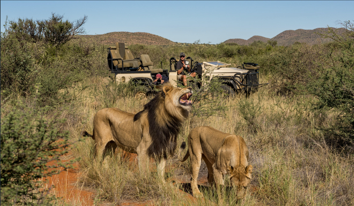 Photographic Safari 