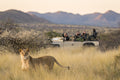 Private Game Drives