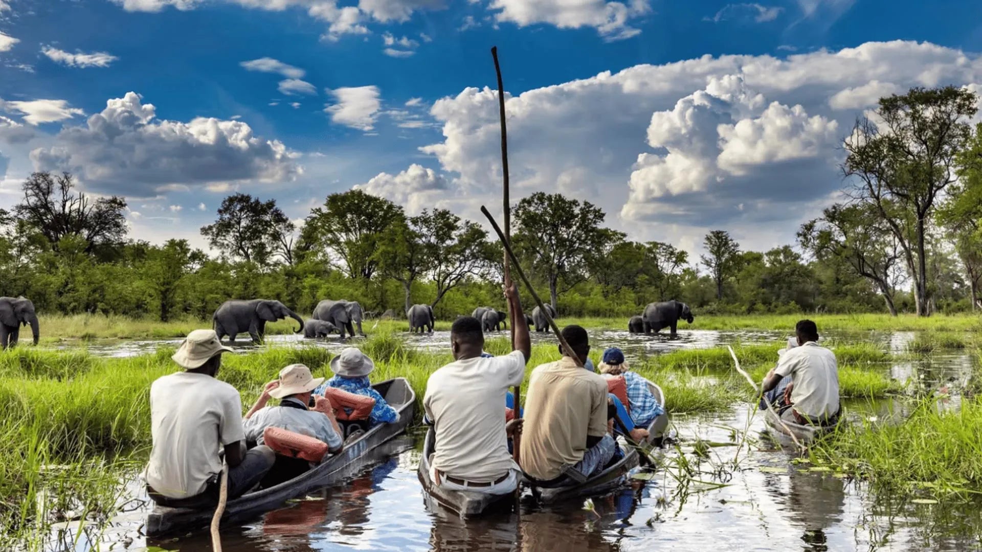 Year-Round Mokoro Excursion at MmaTsebe Tented Camp , Khwai, Botswana.