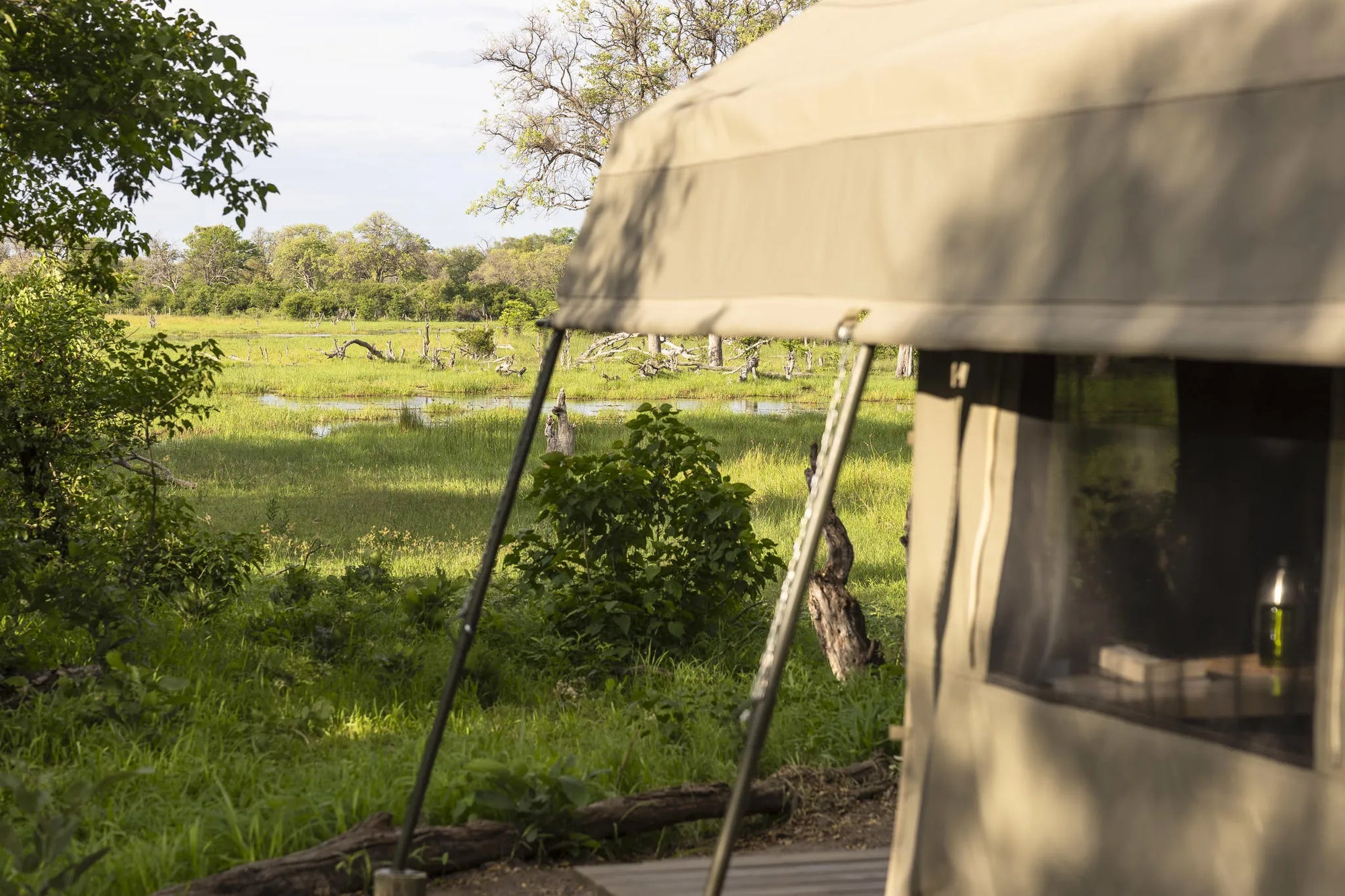 MmaTsebe: View from Tent at MmaTsebe Tented Camp , Khwai, Botswana.