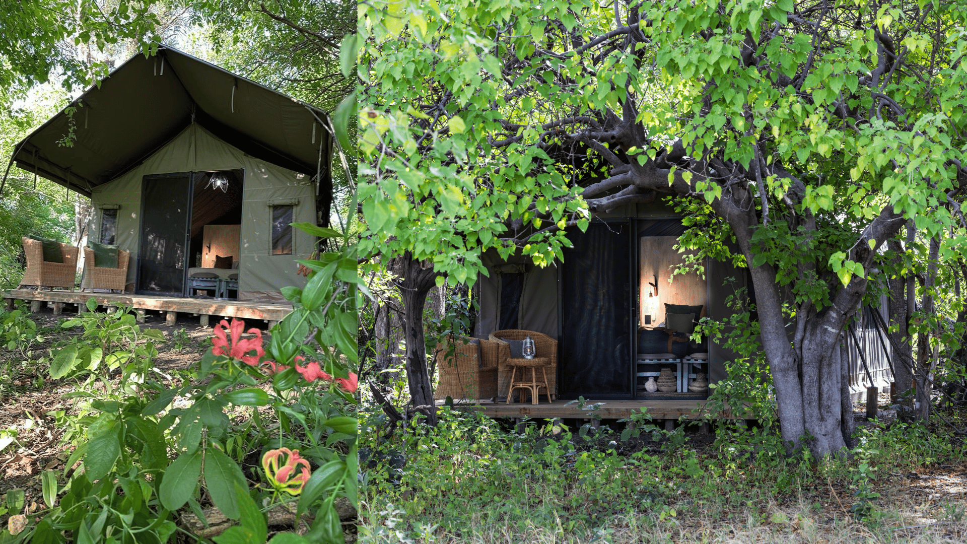 MmaTsebe's Secluded Tents