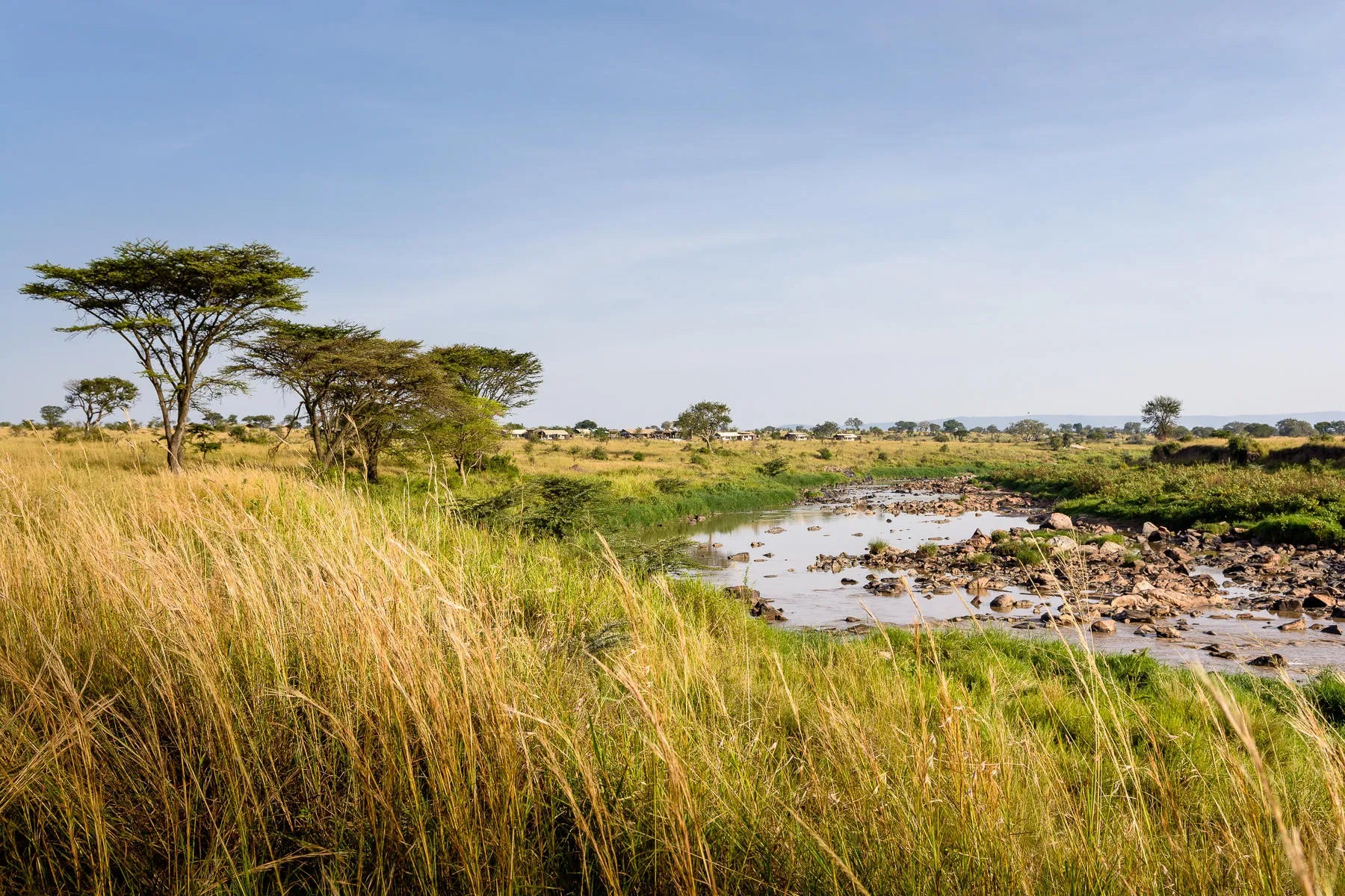 Singita Mara River Tented Camp at Singita Mara River Tented Camp, Northern Serengeti, Tanzania.