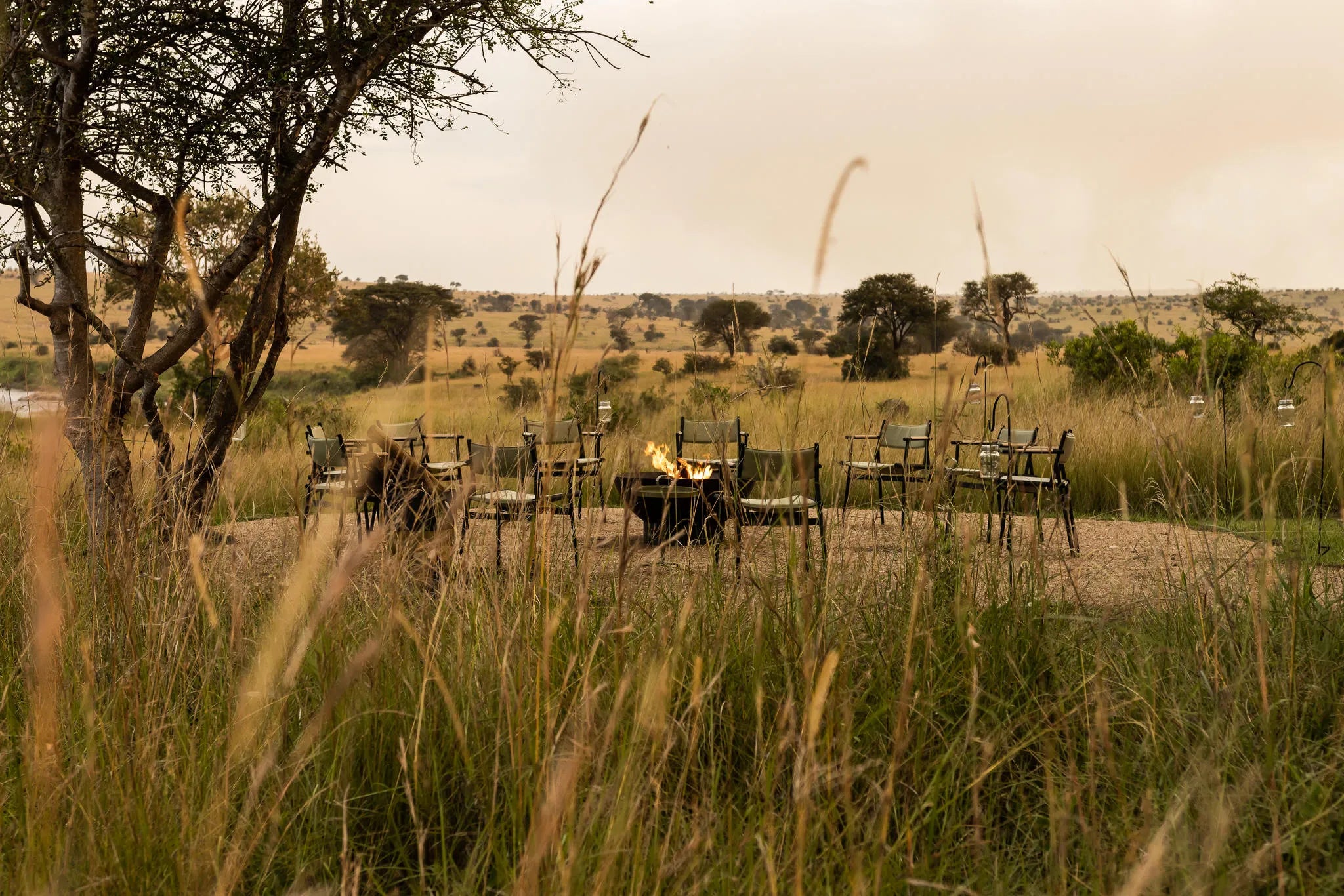Singita Mara River Tented Camp at Singita Mara River Tented Camp, Northern Serengeti, Tanzania.