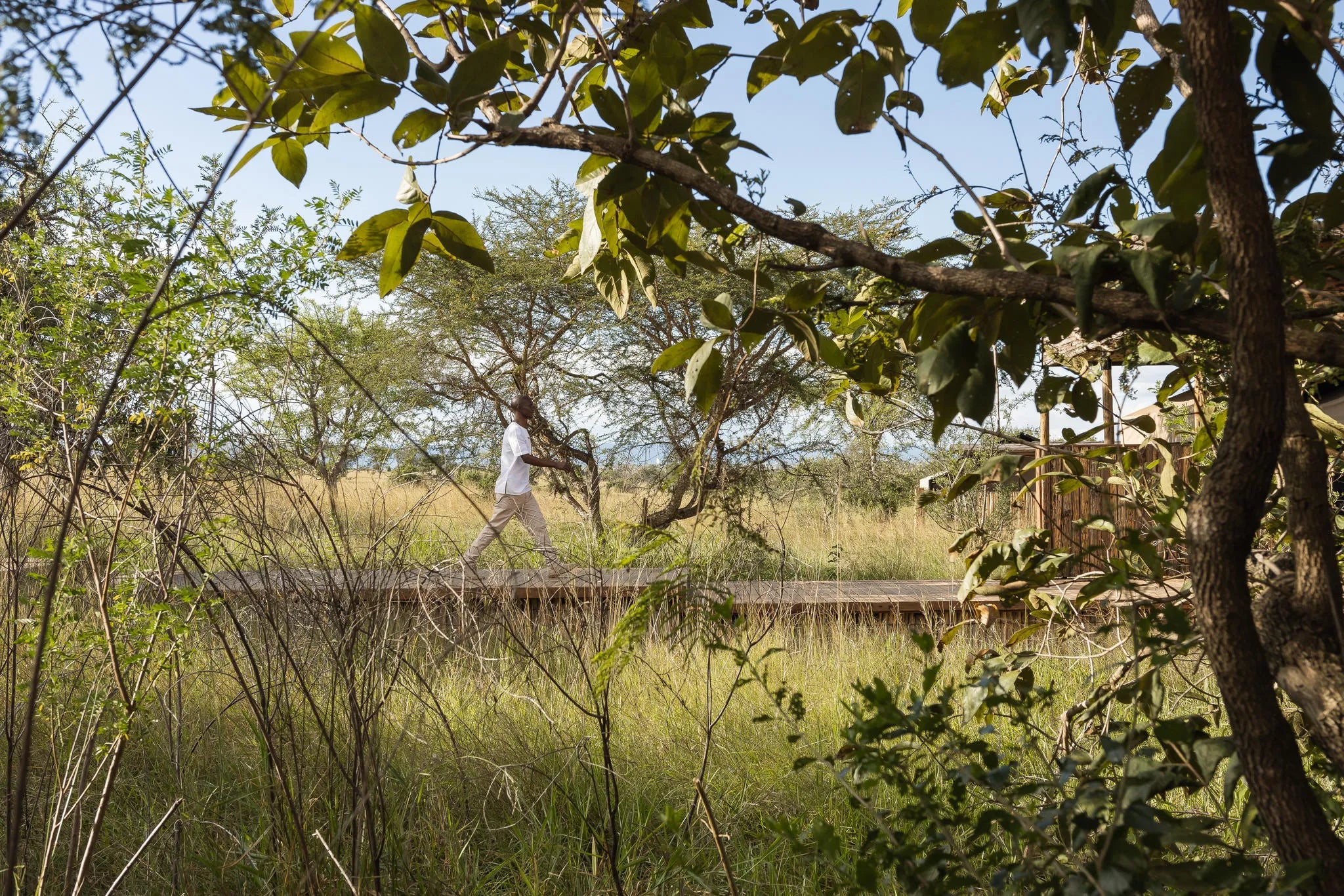 Singita Mara River Tented Camp at Singita Mara River Tented Camp, Northern Serengeti, Tanzania.