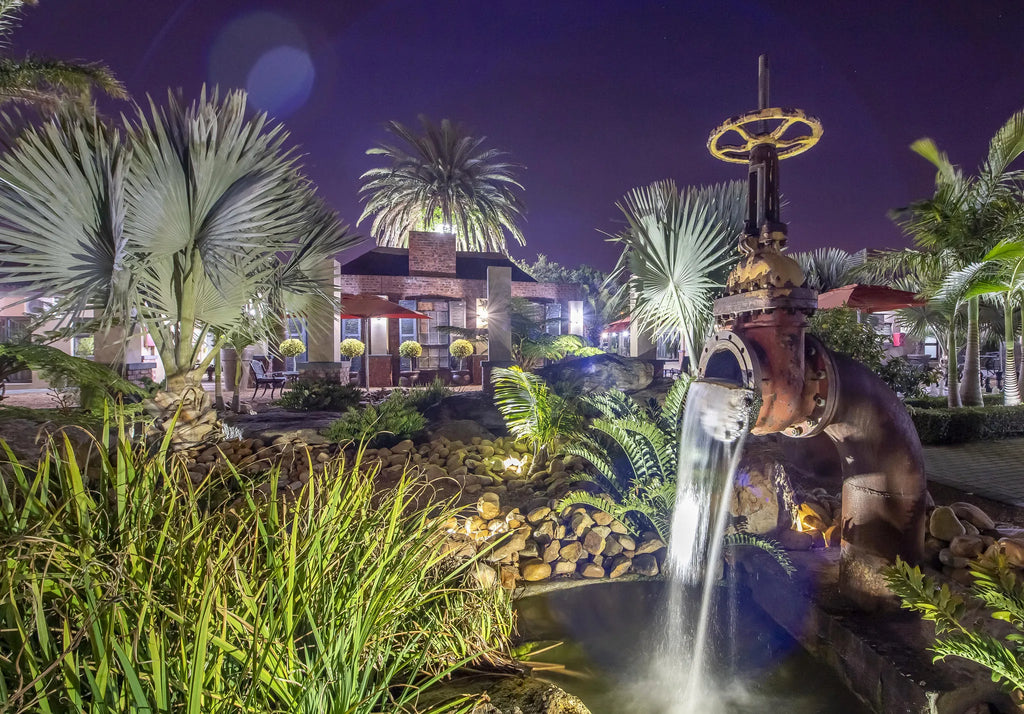 Fish Pond at Excellent Guest House, Cape Town, South Africa.