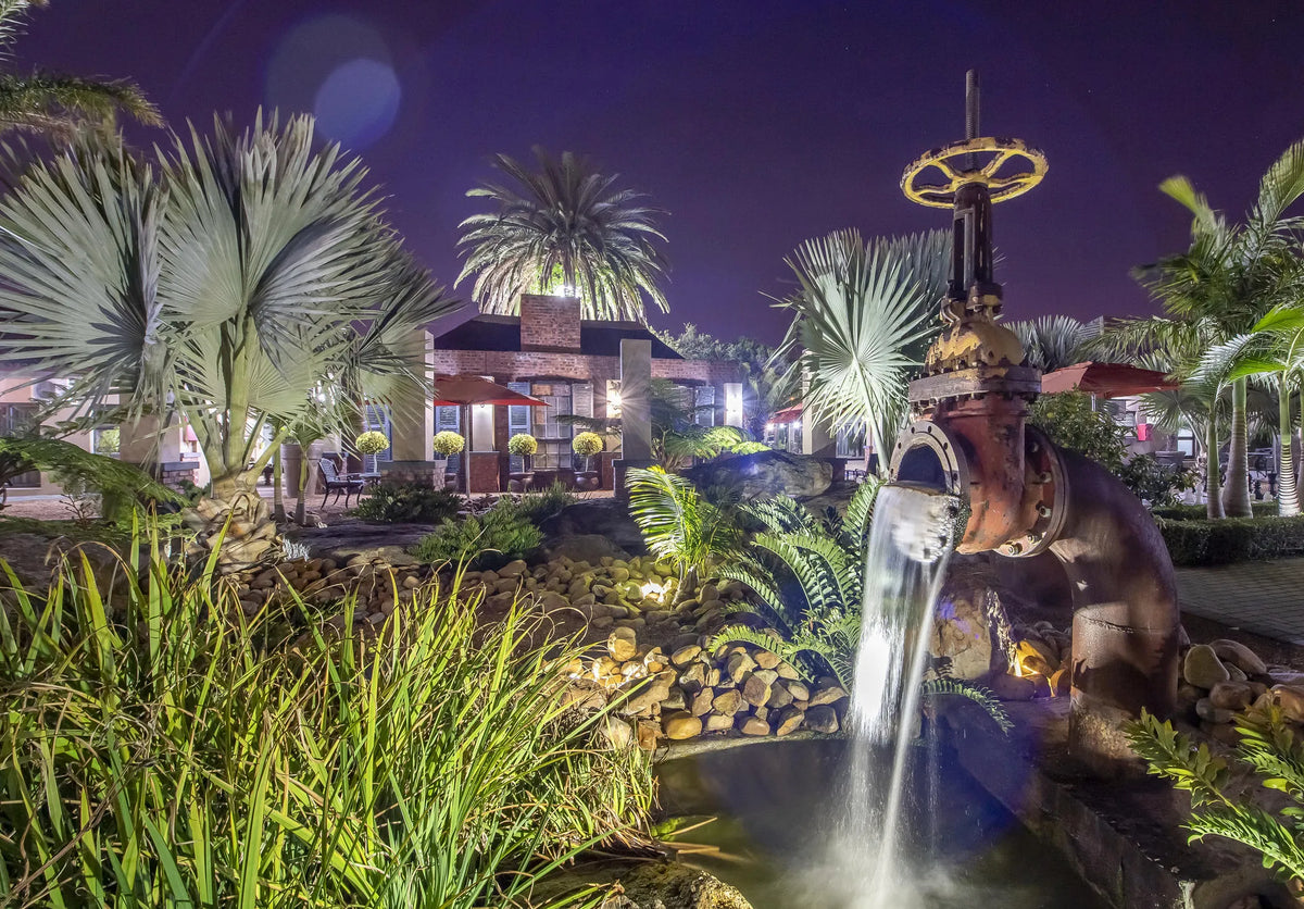 Fish Pond at Excellent Guest House, Cape Town, South Africa.