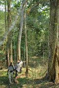 Gallery image 2.