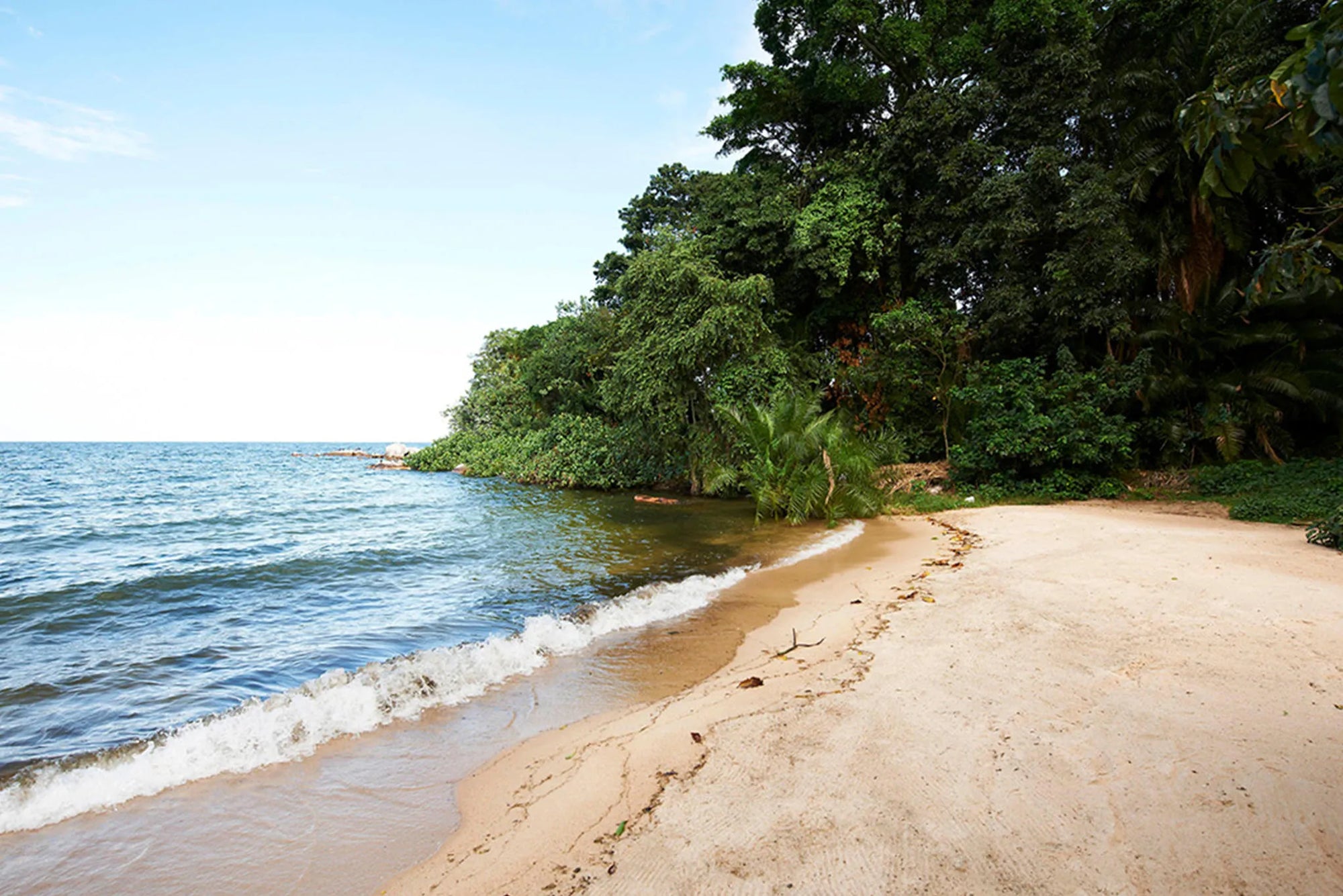 Rubondo Island Camp - Beach at Rubondo Island Camp, Lake Victoria, Tanzania, Tanzania.
