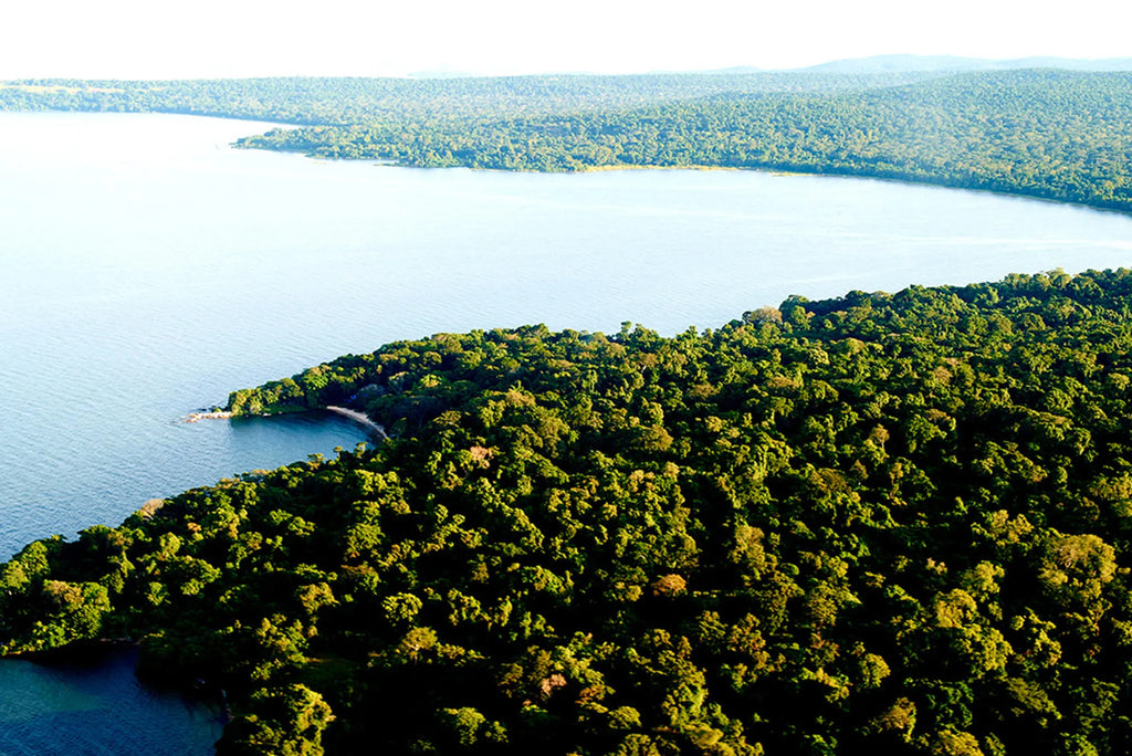 Rubondo Island Camp - Landscape at Rubondo Island Camp, Lake Victoria, Tanzania, Tanzania.
