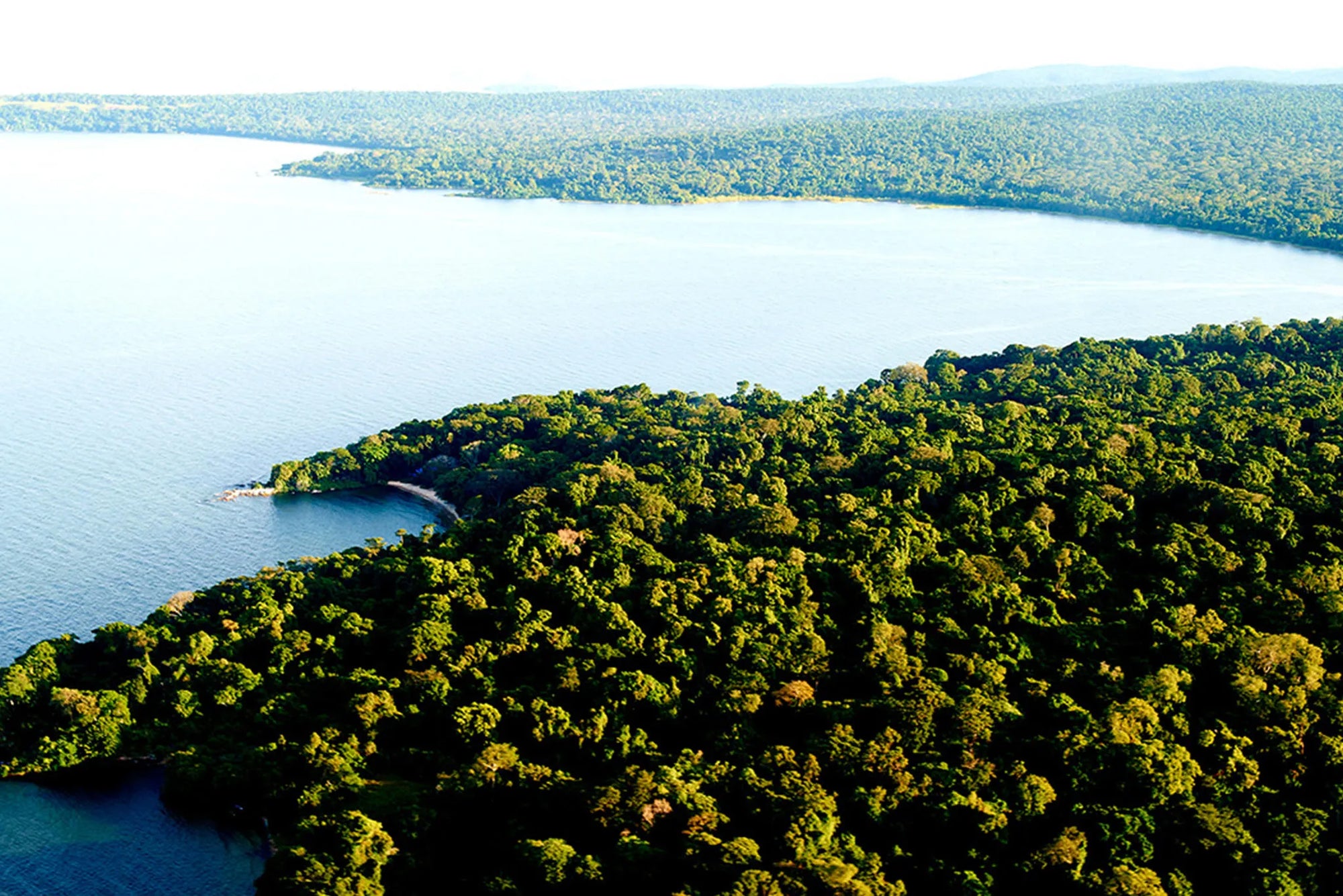 Rubondo Island Camp - Landscape at Rubondo Island Camp, Lake Victoria, Tanzania, Tanzania.
