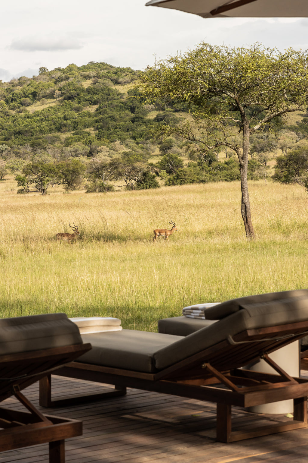 Singita Serengeti House